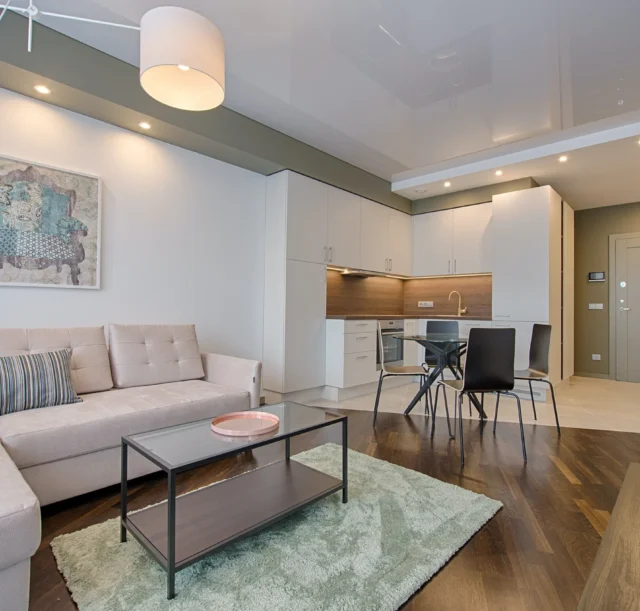 Living room interiors (2)